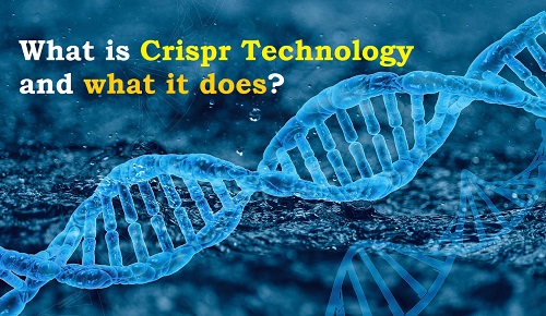 What is Crispr Technology and what it does?